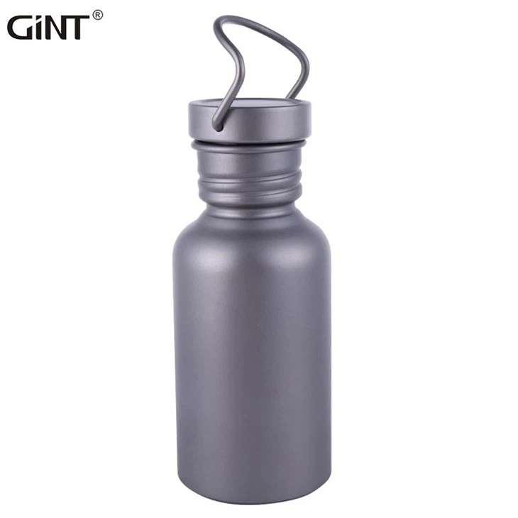 Stainless Steel Bottle